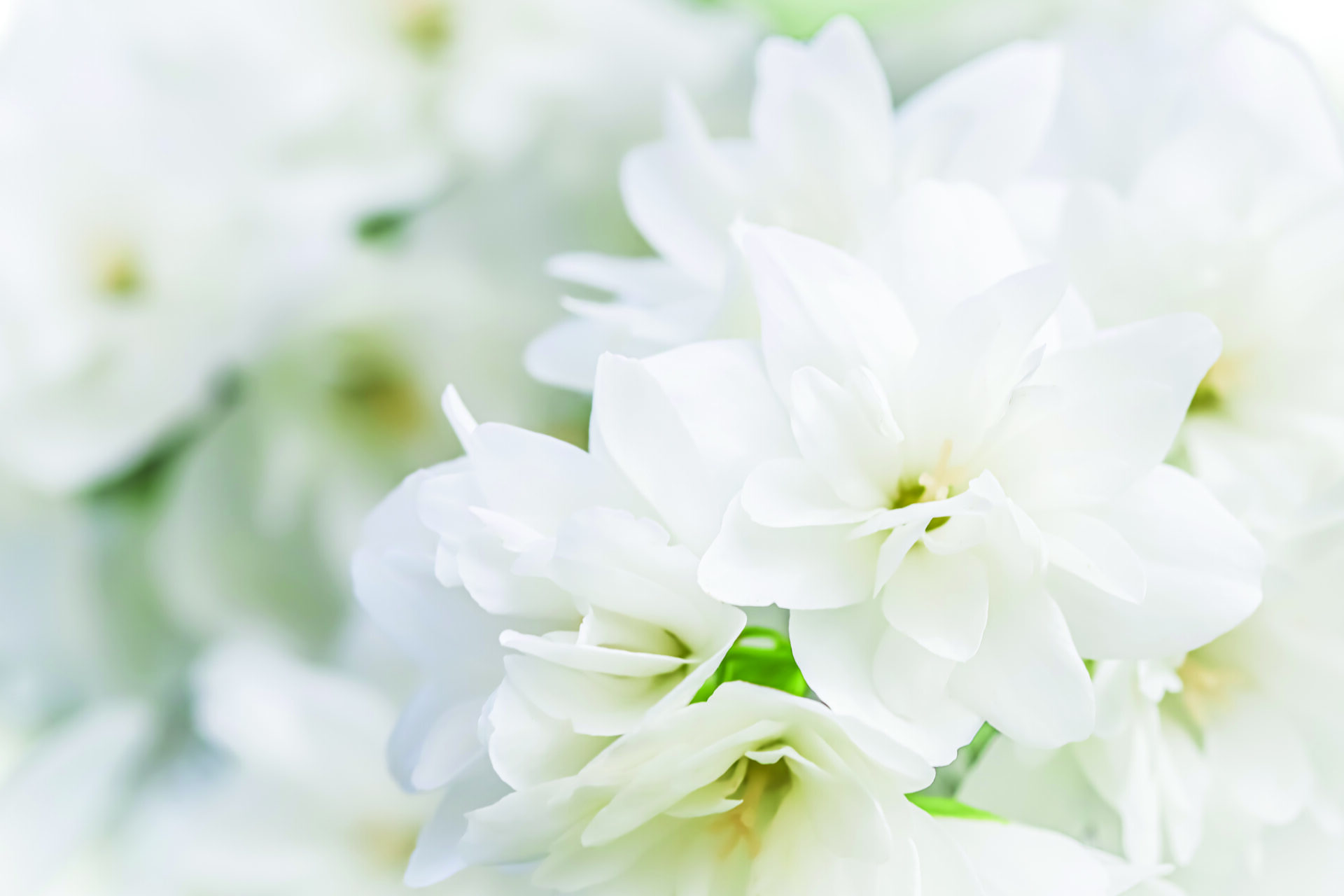 Your Life, Your Legacy Seminar and Lunch